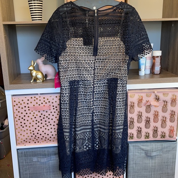 Paper Dolls London Navy Overlay Dress - Picture 2 of 8